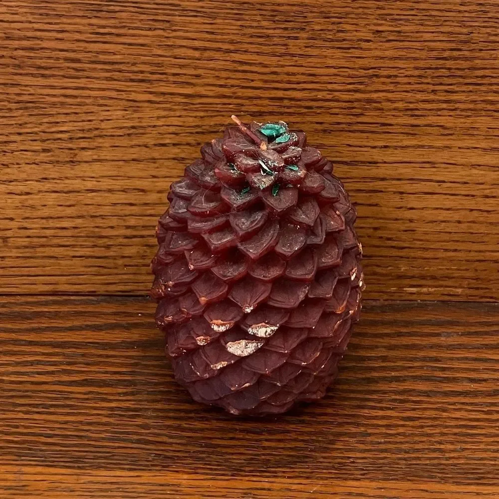 New Smith & Hawken Pine Cone Candle